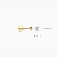 Blush Обеци 14k