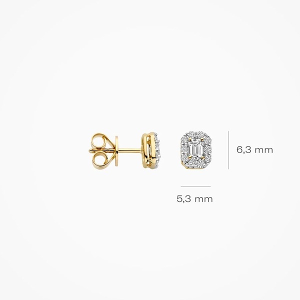 Blush Обеци 14k