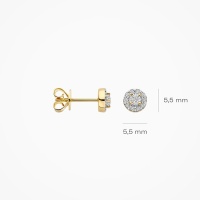 Blush Обеци 14k