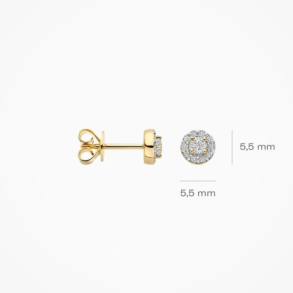 Blush Обеци 14k
