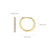 Blush Обеци 14k