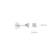 Blush Обеци 14k